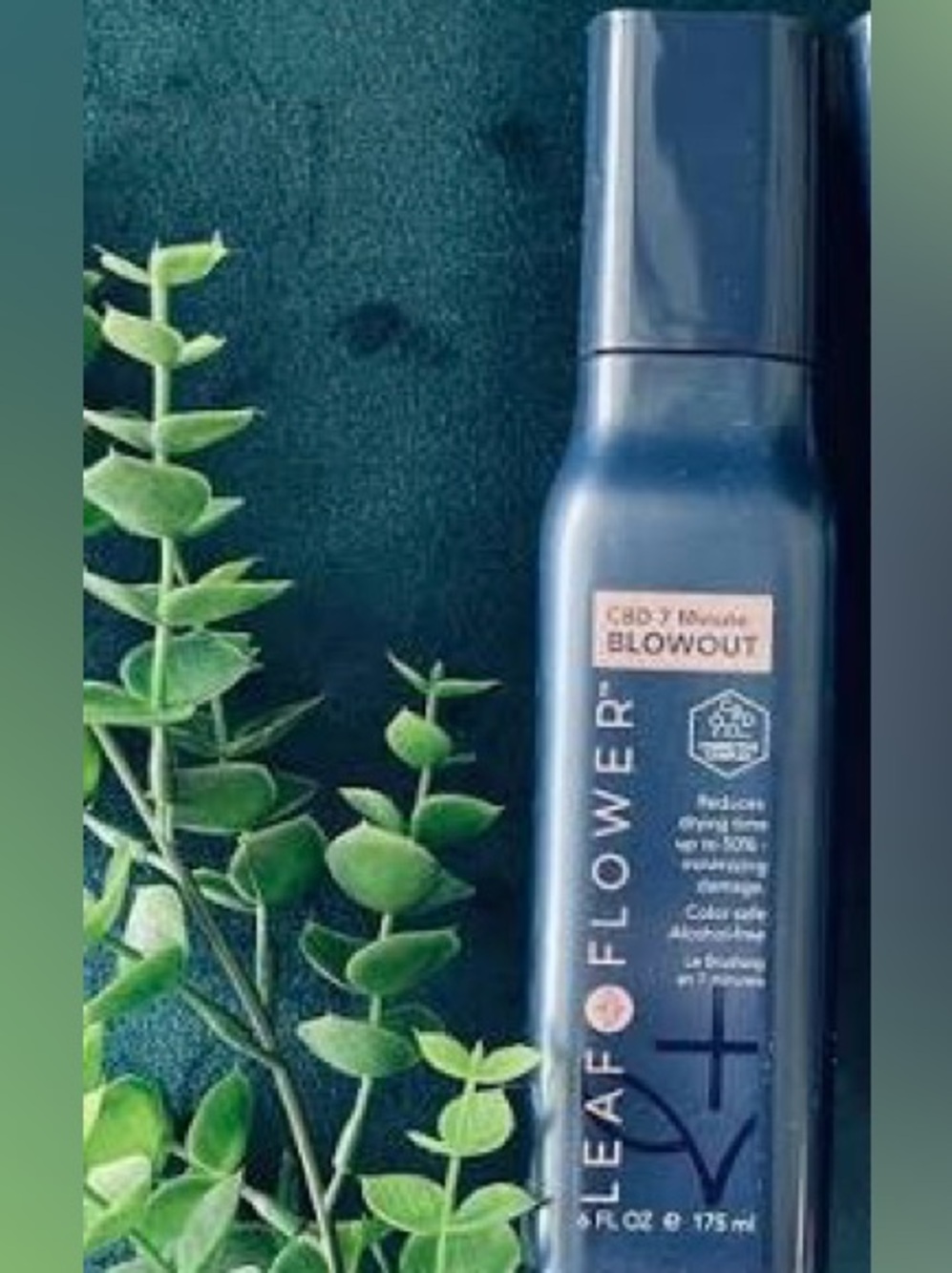 Leaf & Flower CBD 7 Minute Blowout spray